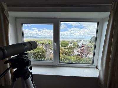 Picture 20
